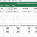 11 Sample Kra Format In Excel With Kra Sample Template