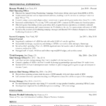 13 C Level And Executive Resume Examples For 2024 | Resume Worded Inside Executive Resume Template Sample