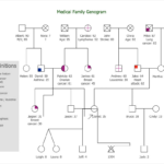 13 Genogram Templates & Examples For Visualizing Family Histories With Genogram Sample Template