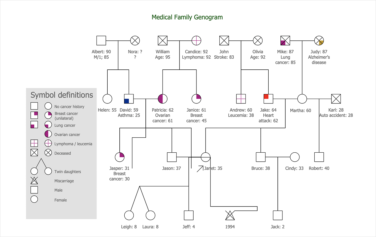 13 Genogram Templates &amp;amp; Examples For Visualizing Family Histories with Genogram Sample Template