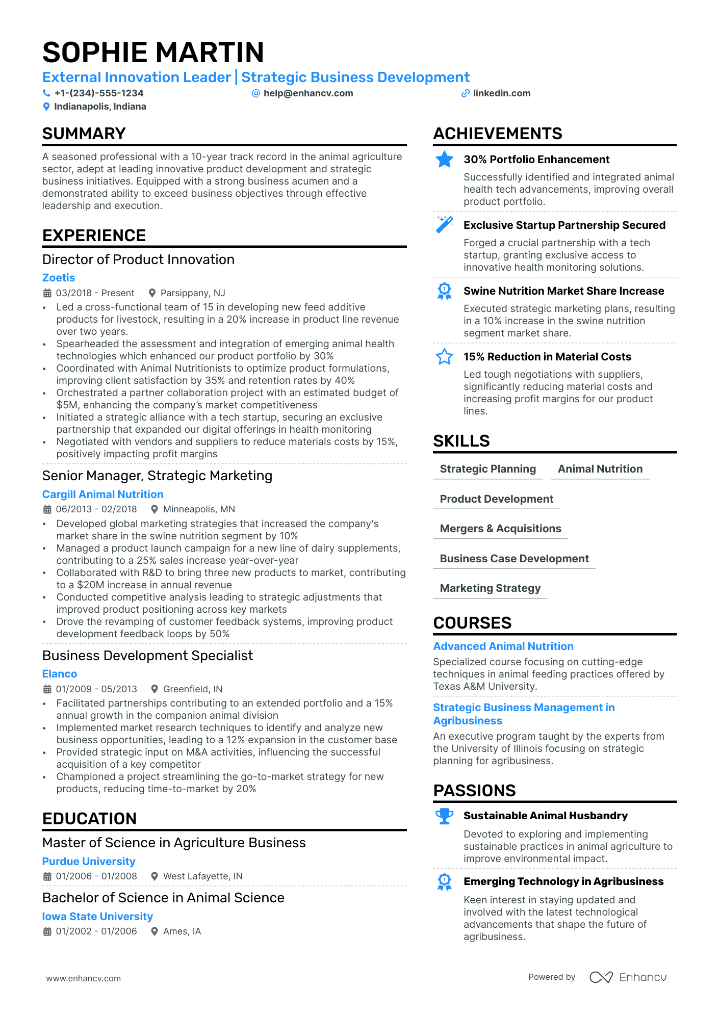 17 Executive Resume Examples &amp;amp; Guide For 2024 with regard to Executive Resume Template Sample