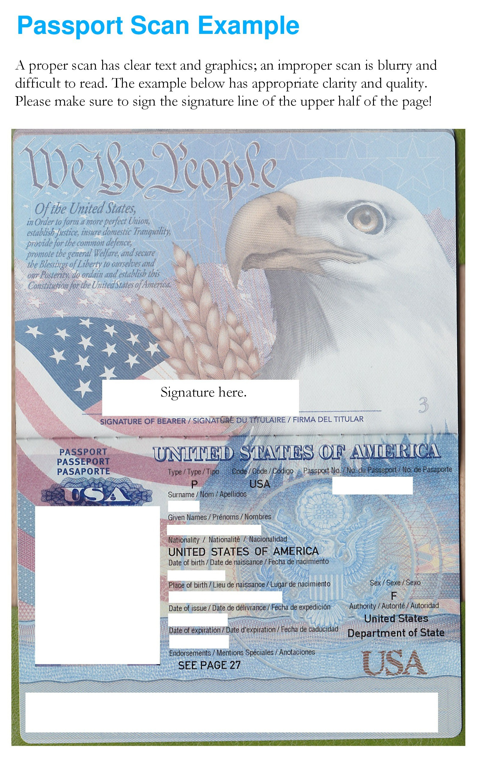 21 Us Passport Photo Templates (100% Free) ᐅ Templatelab for Editable Blank US Passport Sample Template