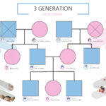 28 Free Genogram Templates & Symbols [Word, Powerpoint, Pdf] With Regard To Genogram Sample Template