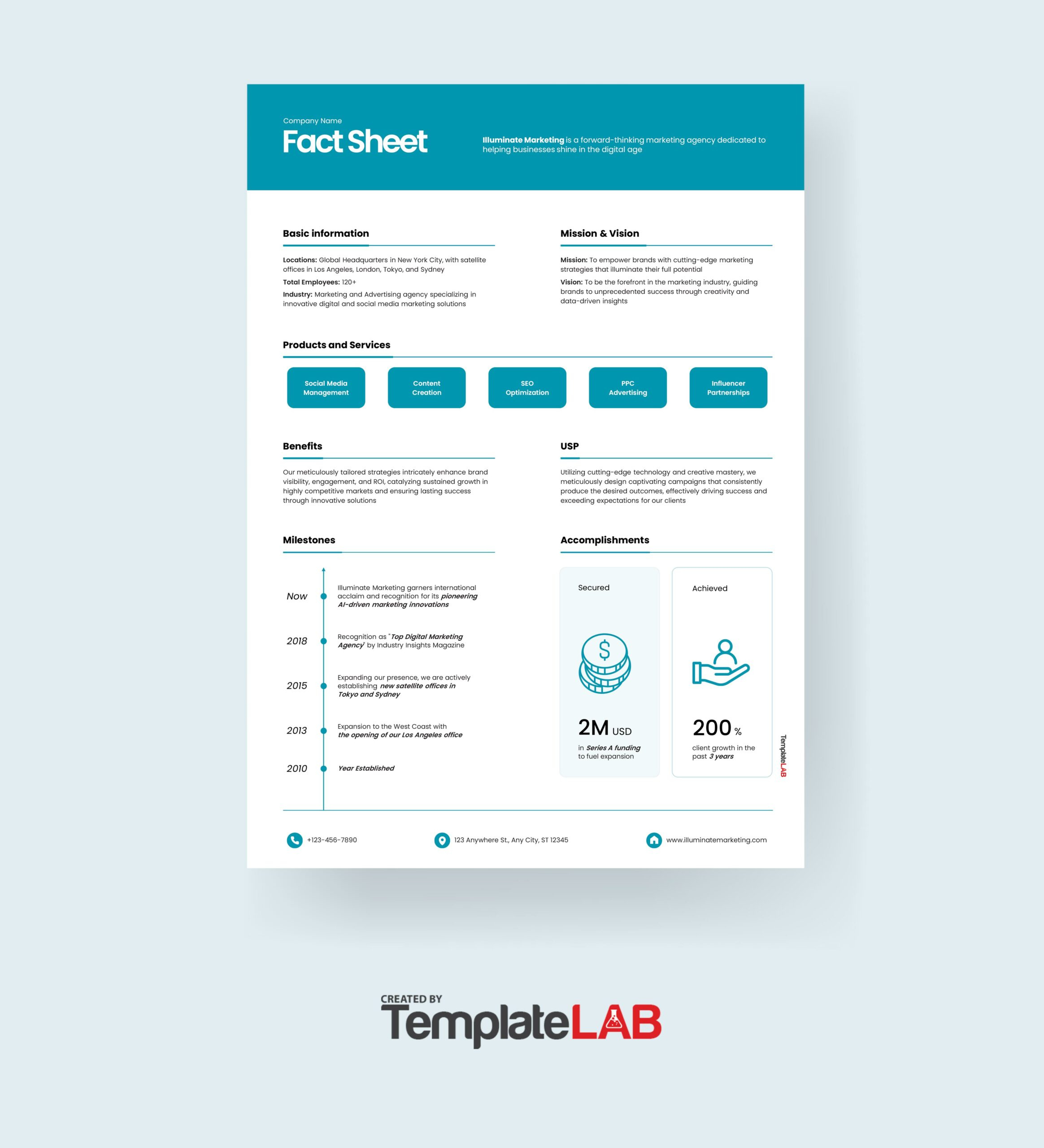 30+ Beautiful Fact Sheet Templates, Examples And Designs intended for Fact Sheet Sample Template