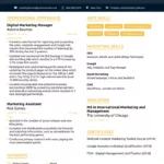 30+ Creative Resume Templates For 2024 [Grab One Now!] With Regard To Modern Resume Sample Templates