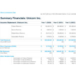 34 Simple Financial Projections Templates (Excel,Word) For Financial Projections Template Sample