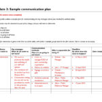 37 Simple Communication Plan Examples (+ Free Templates) ᐅ Inside Communication Plan Sample Template