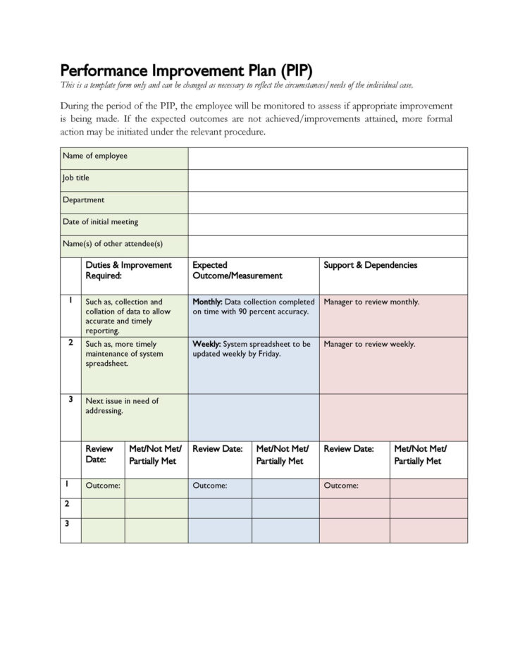 Performance Improvement Plan Sample Template