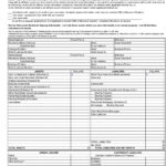 40+ Personal Financial Statement Templates & Forms ᐅ Templatelab Intended For Personal Financial Statement Template Sample