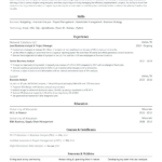 40+ Professional Resume Templates | Pdf Download For Free Sample Resumes Templates