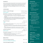 40+ Professional Resume Templates | Pdf Download Throughout Cv Resume Sample Template