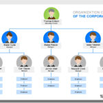 41 Organizational Chart Templates (Word, Excel, Powerpoint, Psd) For Org Chart Sample Template