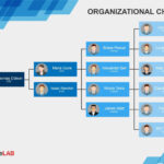 41 Organizational Chart Templates (Word, Excel, Powerpoint, Psd) For Organizational Chart Sample Template