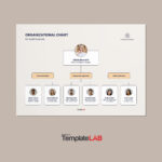 41 Organizational Chart Templates (Word, Excel, Powerpoint, Psd) Regarding Organizational Chart Sample Template