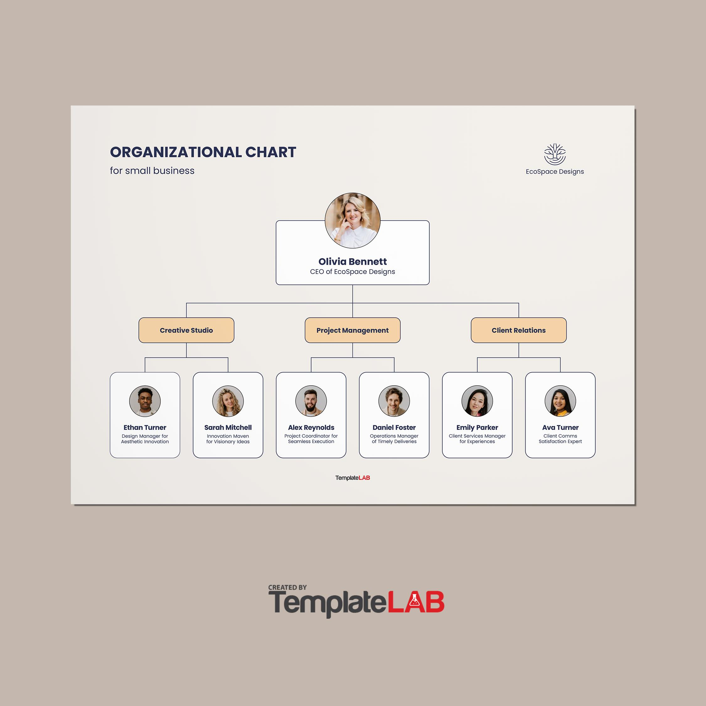 41 Organizational Chart Templates (Word, Excel, Powerpoint, Psd) regarding Organizational Chart Sample Template