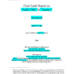 50 Free Audit Report Templates (Internal Audit Reports) ᐅ Templatelab For Sample Audit Report Template