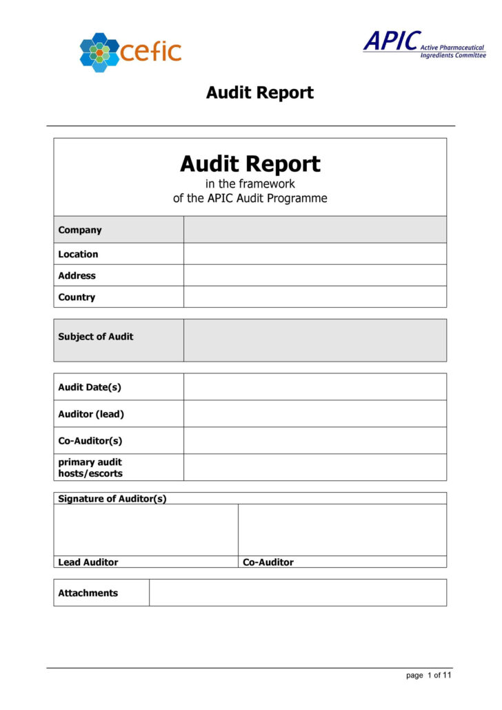 Sample Audit Report Template