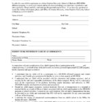 50 Printable Parental Consent Form & Templates ᐅ Templatelab With Regard To Parental Consent Form Sample Template