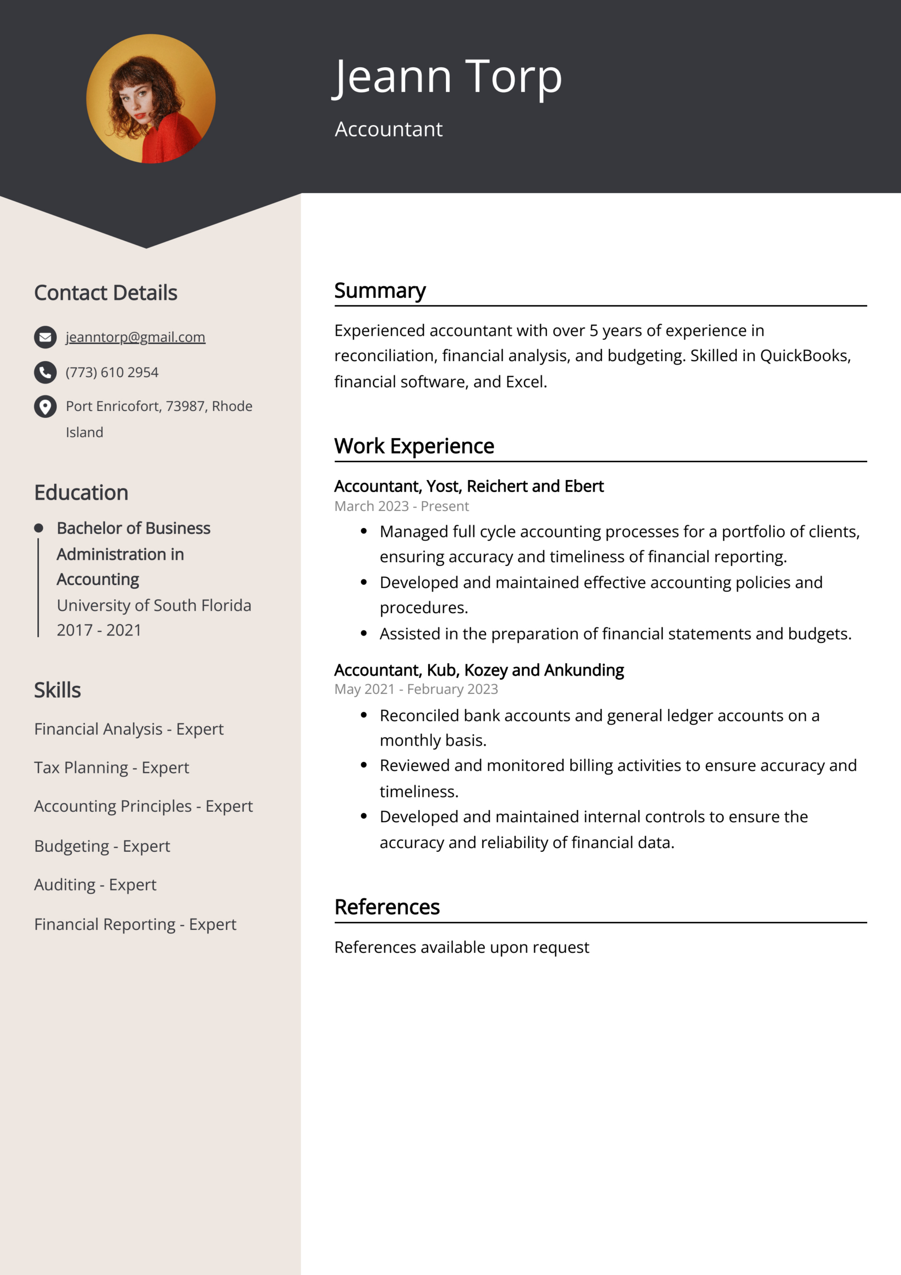 Accountant Cv Example For 2024 (Skills &amp;amp; Templates) with Accountant Cv Template Sample