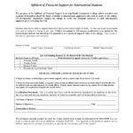 Affidavit Of Financial Support   12+ Examples, Format, Pdf Throughout Affidavit Of Single Parent Sample Template