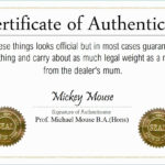 Certificate Of Authenticity Photography Template Expert Graphy With Certificate Of Authenticity Sample Template