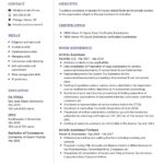 Chartered Accountant Cv Example In 2024   Resumekraft Intended For Accountant Cv Template Sample