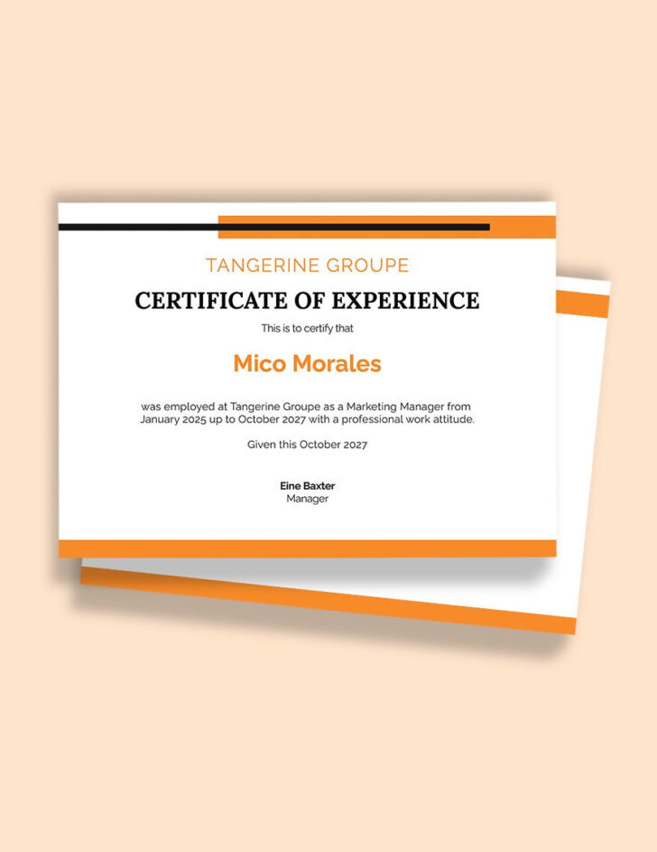 Experience Certificate Sample Template