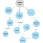 Concept Map Templates And Examples | Lucidchart Blog Throughout Concept Map Sample Template