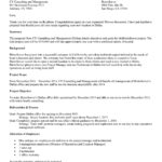 Consultant Proposal Template   Sfiveband Intended For Consulting Proposal Template Sample