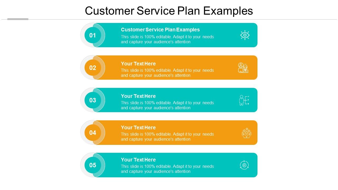 Customer Service Plan Examples Ppt Powerpoint Presentation in Customer Service Plan Sample Template