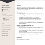 Customer Service Representative Cv Example For 2024 (Skills With Curriculum Vitae Template Sample