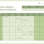 Daily Work Schedule Template   Venngage For Employee Work Schedule Template Sample