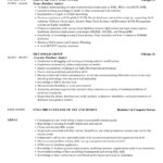 Database Analyst Resume Samples | Velvet Jobs For H1B Job Description With Duties And Percentages Sample Template