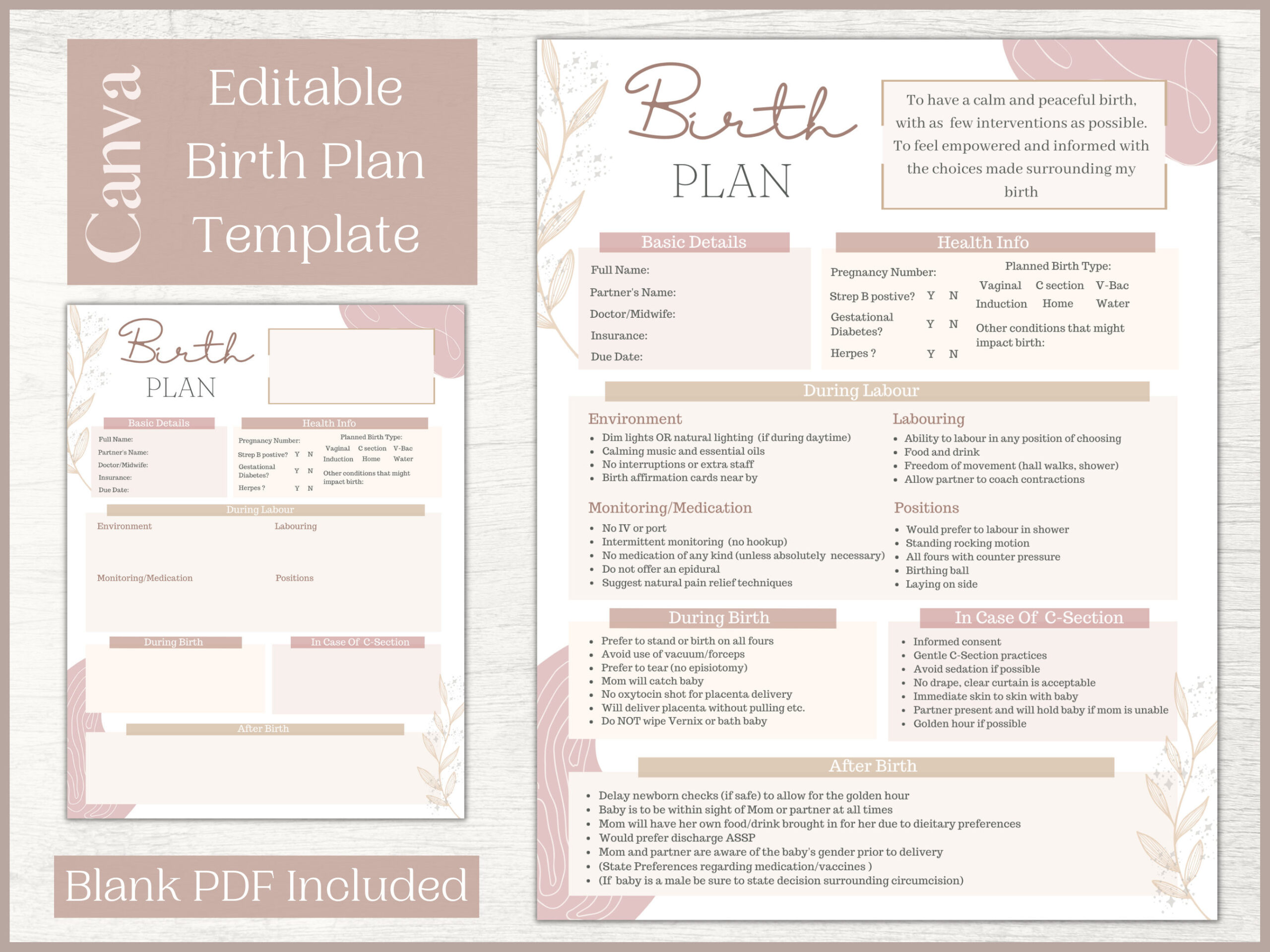 Editable Birth Plan Template Printable Birthing Plan Labour And with Birth Plan Sample Template