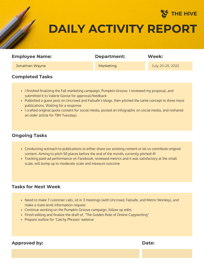 Employee Daily Activity Report Format Template - Venngage in Sample Activity Report Template