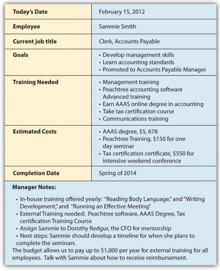 Professional Development Plan Sample Template