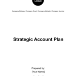 Free Accounting Plan Templates & Examples   Edit Online & Download Intended For Sample Account Planning Template