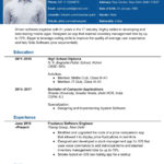 Free Biodata Templates For Marriage And Job Format In Biodata Sample Template