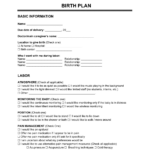 Free Birth Plan Template | Pdf & Word Within Birth Plan Sample Template