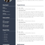 Free, Custom Professional Infographic Resume Templates | Canva With Sample CV Templates