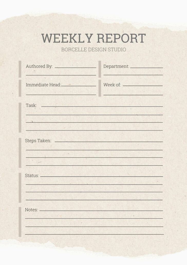 Weekly Status Report Template Sample