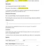 General Affidavit Template   Free Download   Easy Legal Docs Inside Affidavit Sample Template