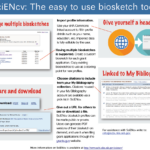 Home   Nih Biosketch   Beckerguides At Becker Medical Library Throughout Biosketch Template Sample