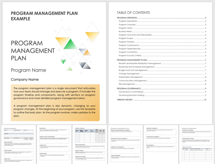 Program Management Plan Sample Template