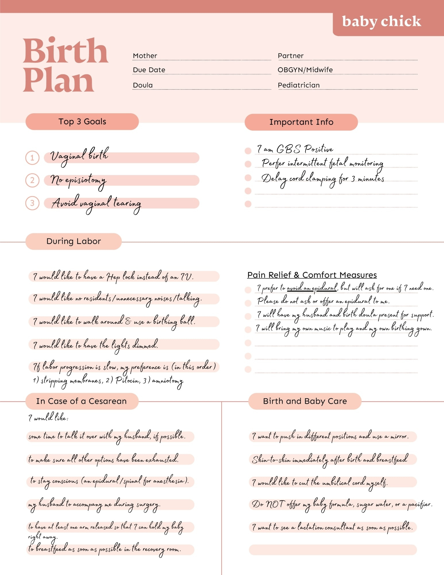 How To Create Your Perfect Birth Plan (Includes Templates!) in Birth Plan Sample Template