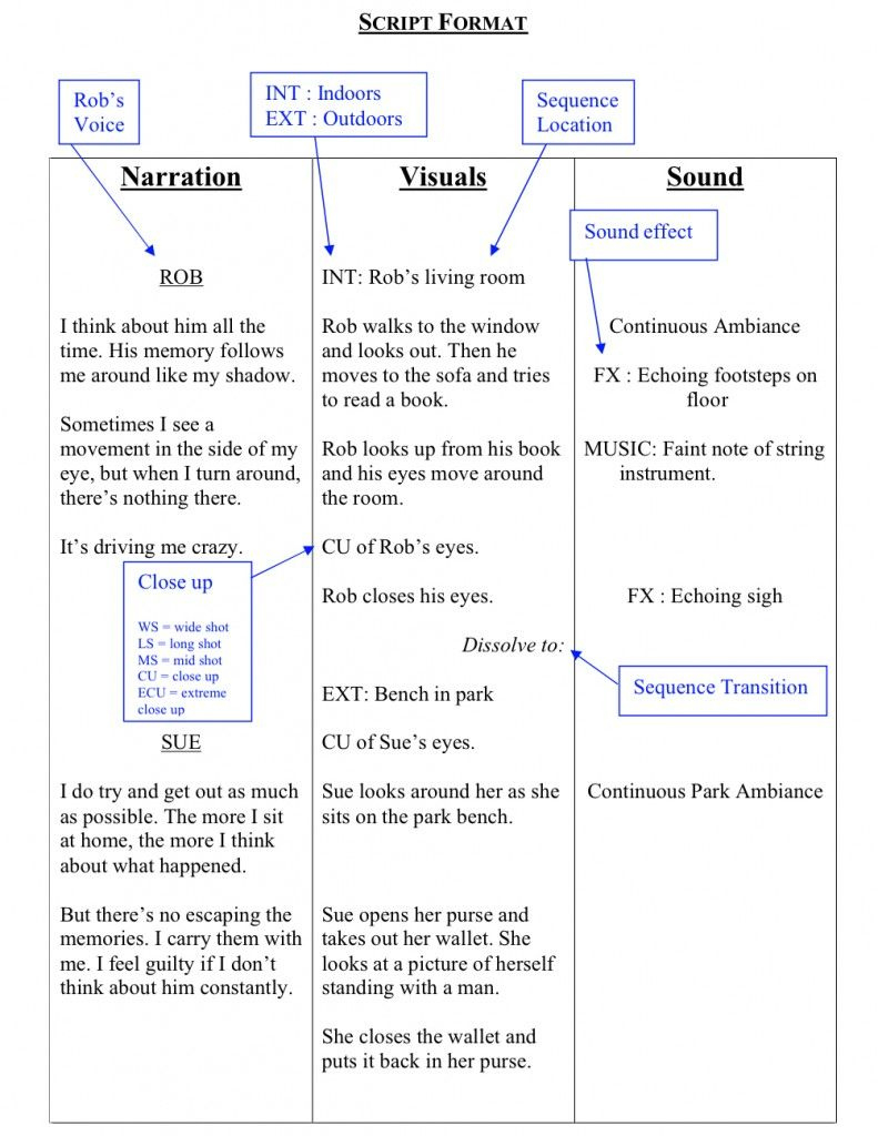 How To Write A Documentary Script pertaining to Documentary Film Script Template Sample