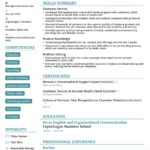 How To Write A Functional Resume [4 Free Templates Included] In Functional Resume Sample Template