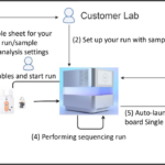 Illumina | Post Sequencing Auto Launch Dragen™ Single Cell Rna… Throughout Illumina Sample Sheet Template