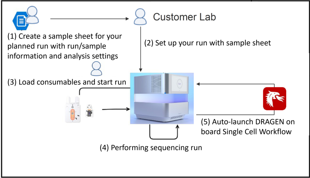 Illumina | Post-Sequencing Auto-Launch Dragen™ Single Cell Rna… throughout Illumina Sample Sheet Template