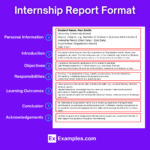 Internship Report   20+ Examples, Format, How To Write, Pdf With Internship Journal Sample Template